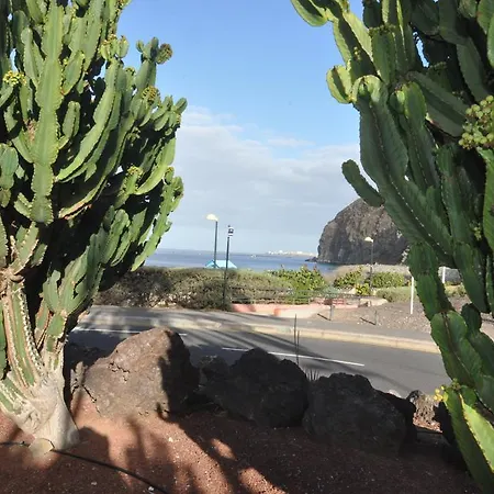 Palm Mar - Studio Mocan 2 Ad Y 3 Nin Apartment Playa de las Americas (Tenerife)
