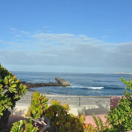 Apartment Palm Mar - Studio Mocan 2 Ad Y 3 Nin *